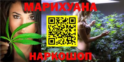 крисы Гай