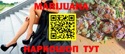 крисы Гай