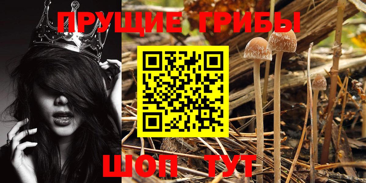 Галлюциногенные грибы GOLDEN TEACHER Кондопога